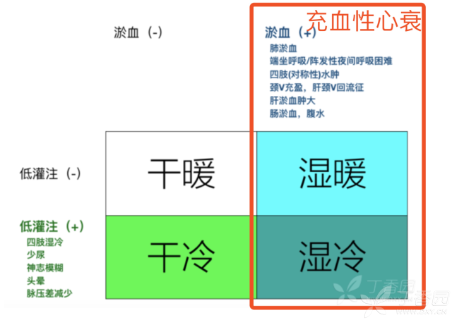 充血性心力衰竭与心力衰竭是同一概念么？